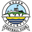 Logo Dover Athletic