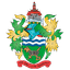 Logo Chertsey Town