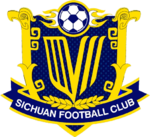 Logo Shenzhen Peng City