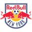 Logo New York RB